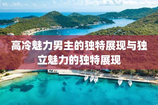 高冷魅力男主的独特展现与独立魅力的独特展现