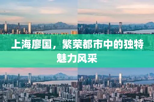 上海廖国，繁荣都市中的独特魅力风采