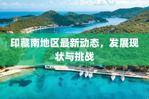 印藏南地区最新动态，发展现状与挑战