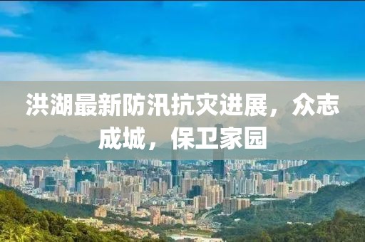 洪湖最新防汛抗灾进展，众志成城，保卫家园