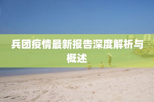 兵团疫情最新报告深度解析与概述