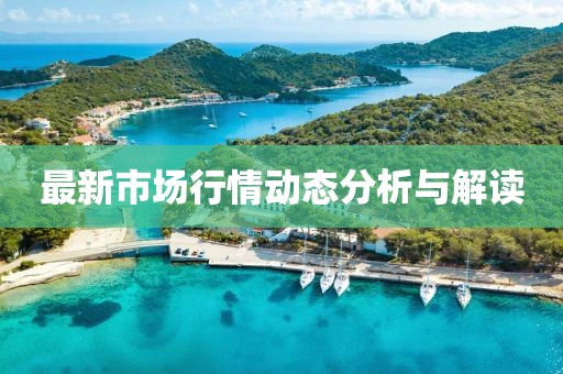 最新市场行情动态分析与解读