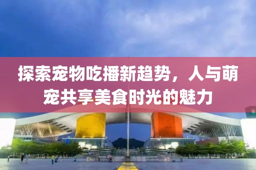 探索宠物吃播新趋势，人与萌宠共享美食时光的魅力