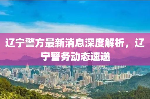 辽宁警方最新消息深度解析，辽宁警务动态速递