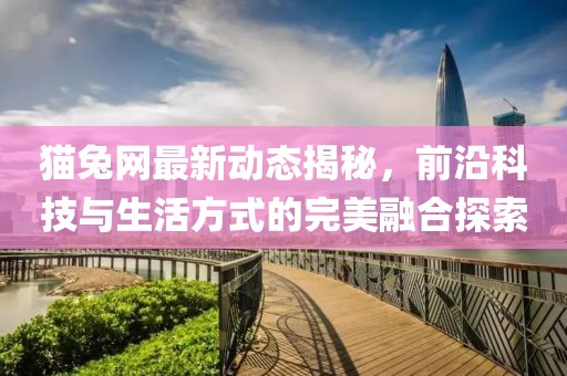 猫兔网最新动态揭秘，前沿科技与生活方式的完美融合探索