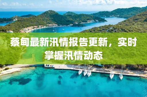 蔡甸最新汛情报告更新，实时掌握汛情动态