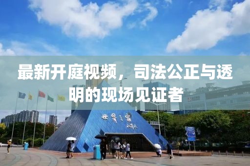 最新开庭视频，司法公正与透明的现场见证者