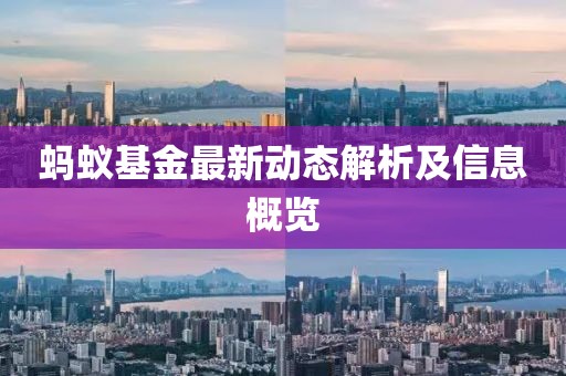 蚂蚁基金最新动态解析及信息概览