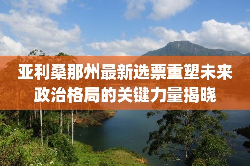 亚利桑那州最新选票重塑未来政治格局的关键力量揭晓
