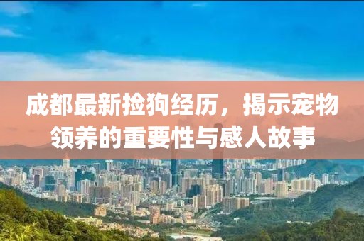 成都最新捡狗经历，揭示宠物领养的重要性与感人故事