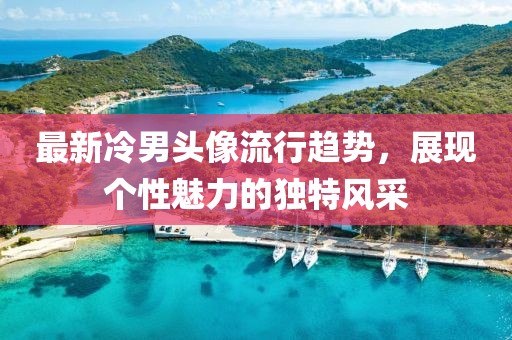 最新冷男头像流行趋势，展现个性魅力的独特风采