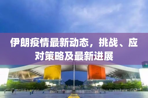 伊朗疫情最新动态，挑战、应对策略及最新进展