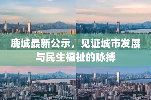 鹿城最新公示，见证城市发展与民生福祉的脉搏
