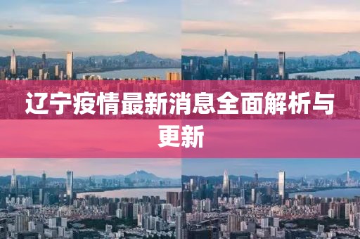 辽宁疫情最新消息全面解析与更新