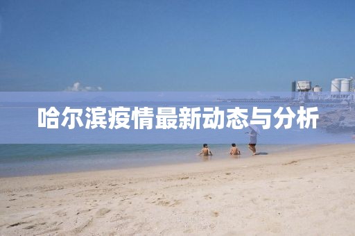 哈尔滨疫情最新动态与分析