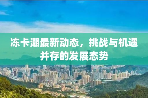 冻卡潮最新动态，挑战与机遇并存的发展态势