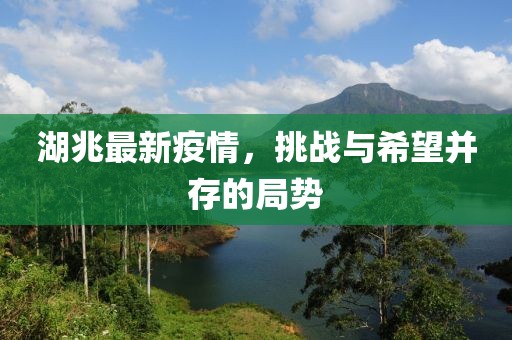 湖兆最新疫情，挑战与希望并存的局势
