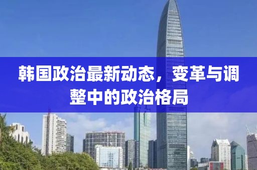 韩国政治最新动态，变革与调整中的政治格局