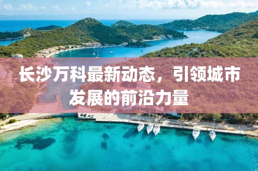 2025年4月20日