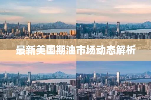 最新美国期油市场动态解析