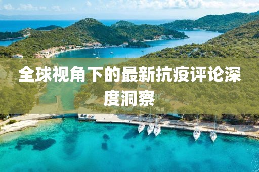 全球视角下的最新抗疫评论深度洞察