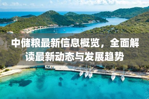 中储粮最新信息概览，全面解读最新动态与发展趋势