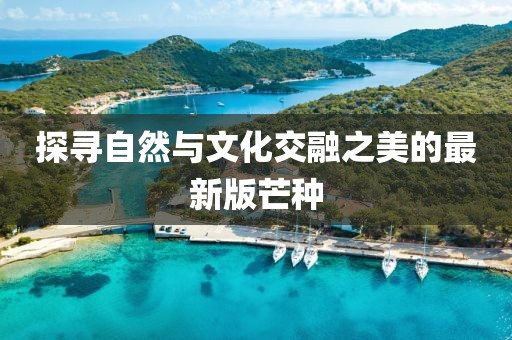 探寻自然与文化交融之美的最新版芒种