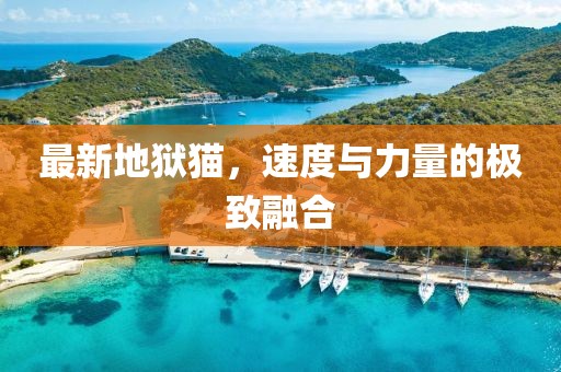 最新地狱猫，速度与力量的极致融合