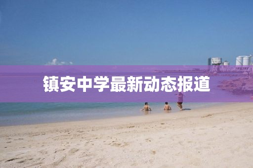 镇安中学最新动态报道