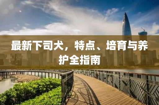 最新下司犬，特点、培育与养护全指南