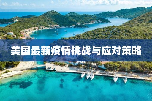 美国最新疫情挑战与应对策略
