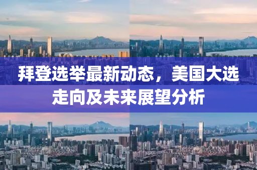 拜登选举最新动态，美国大选走向及未来展望分析