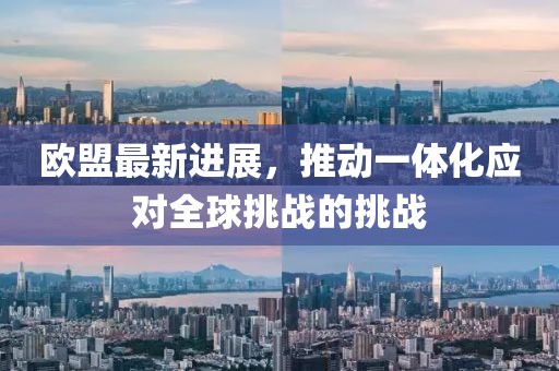 欧盟最新进展，推动一体化应对全球挑战的挑战