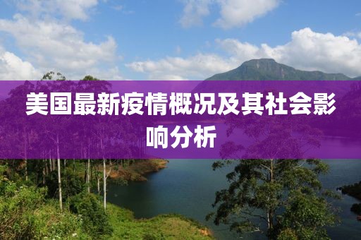 美国最新疫情概况及其社会影响分析