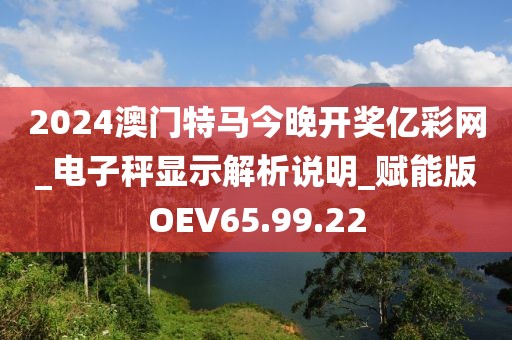 2024澳门特马今晚开奖亿彩网_电子秤显示解析说明_赋能版OEV65.99.22