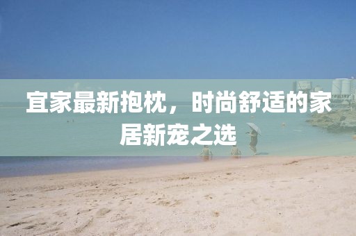 宜家最新抱枕，时尚舒适的家居新宠之选