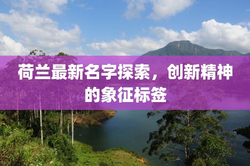 荷兰最新名字探索，创新精神的象征标签