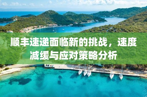 顺丰速递面临新的挑战，速度减缓与应对策略分析