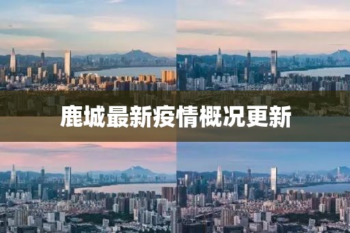 鹿城最新疫情概况更新