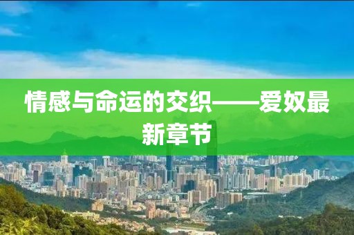 第66页