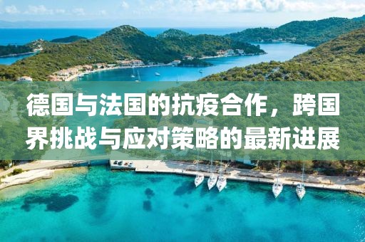 德国与法国的抗疫合作，跨国界挑战与应对策略的最新进展