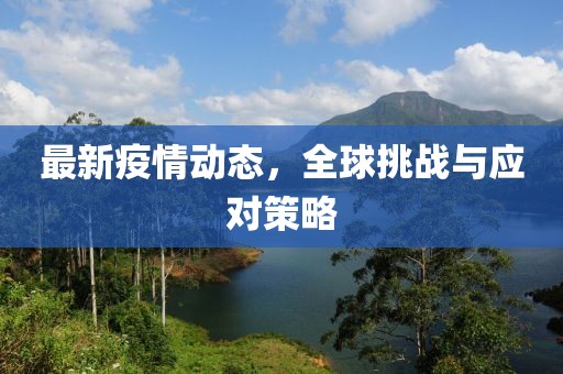 最新疫情动态，全球挑战与应对策略
