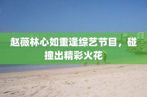 赵薇林心如重逢综艺节目，碰撞出精彩火花