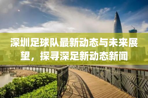 深圳足球队最新动态与未来展望，探寻深足新动态新闻