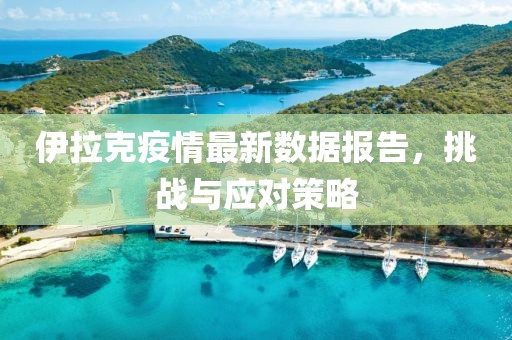 伊拉克疫情最新数据报告，挑战与应对策略