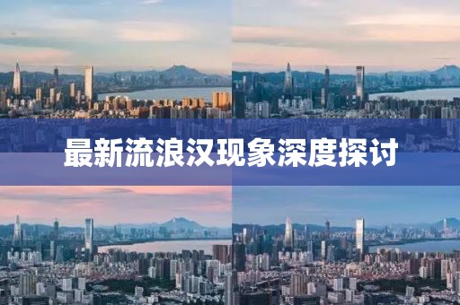 最新流浪汉现象深度探讨