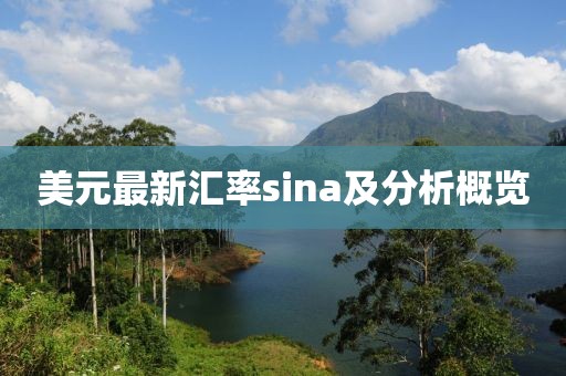美元最新汇率sina及分析概览