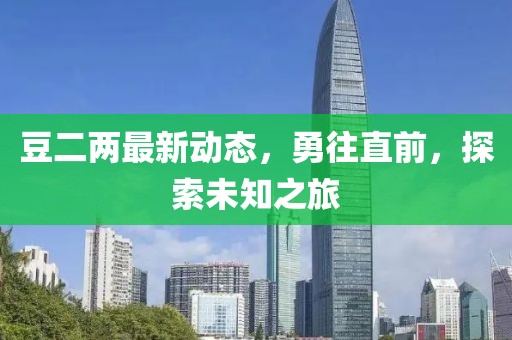 豆二两最新动态，勇往直前，探索未知之旅