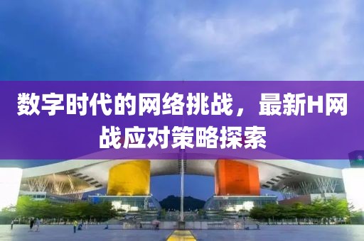 数字时代的网络挑战，最新H网战应对策略探索
