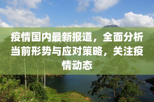 疫情国内最新报道，全面分析当前形势与应对策略，关注疫情动态